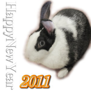܂炤 HappyNewYear 2011