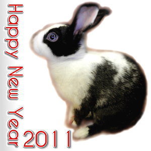 ܂炤 HappyNewYear 2011